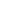 icon-1